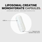 Codeage Liposomal Creatine – Premium Micronized Creatine for Strength, Performance & Rec