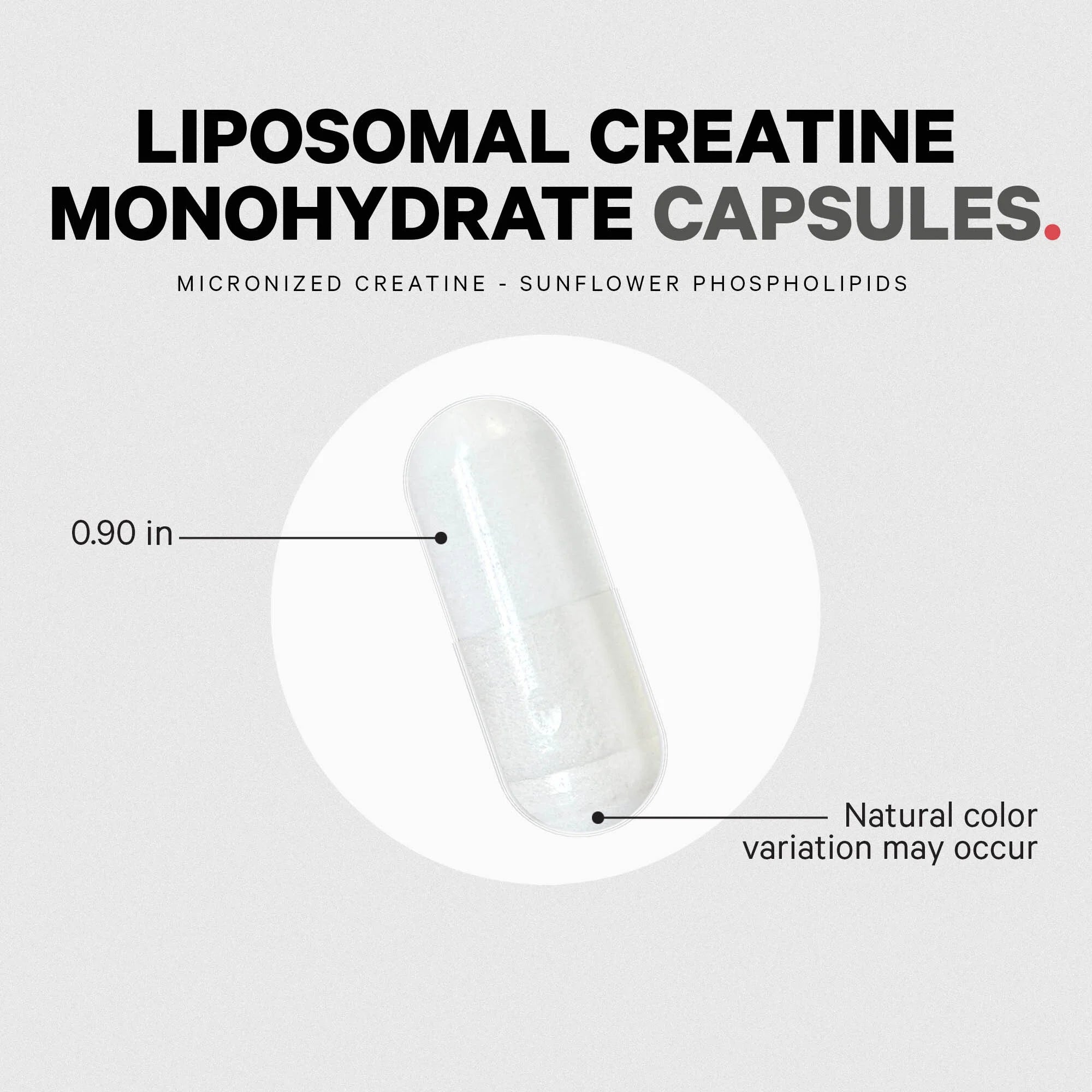 Codeage Liposomal Creatine – Premium Micronized Creatine for Strength, Performance & Rec